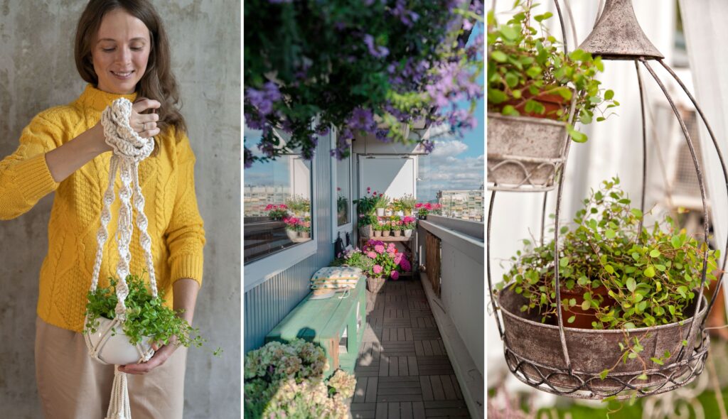 Plantas ornamentais para interiores, varandas e sacadas